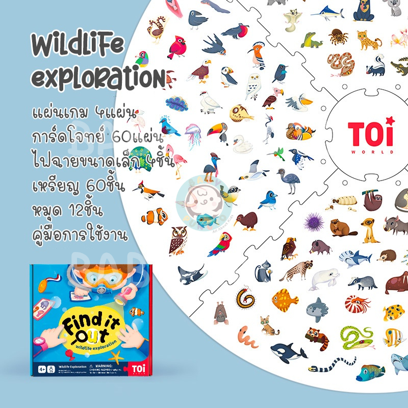 th-11134211-7r98v-lqurmxlkbtda861713779592842